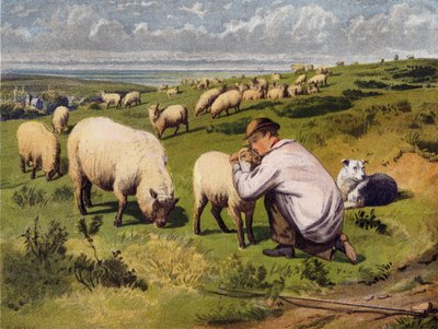 The Young Shepherd by English School